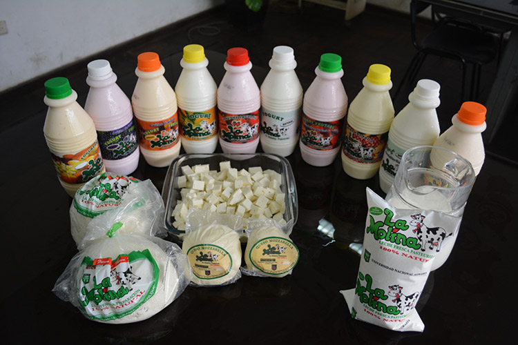 productos planta de leche