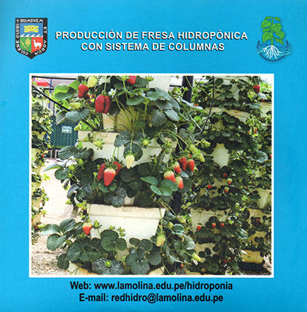 Producción de fresa hidroponica con sistema de columnas